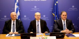 Αγροτικές επιδοτήσεις: Τι αλλάζει, ποιοι κερδίζουν και πώς θα γίνονται οι πληρωμές